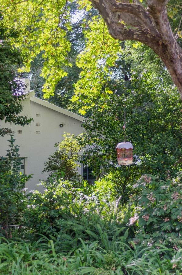 Garden Place Guest Houses Johannesburg Exterior foto